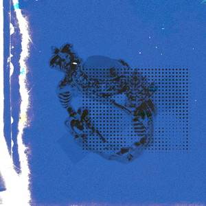 《贵在真实家庭》
