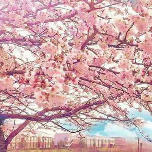 《贵在真实家庭》
